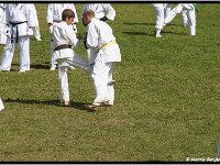 2011 06 26 4120-border